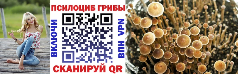 дарк нет состав  Красновишерск  Галлюциногенные грибы Cubensis 